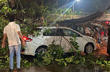 Branch of huge tree falls near court road; 2 vehicles damaged